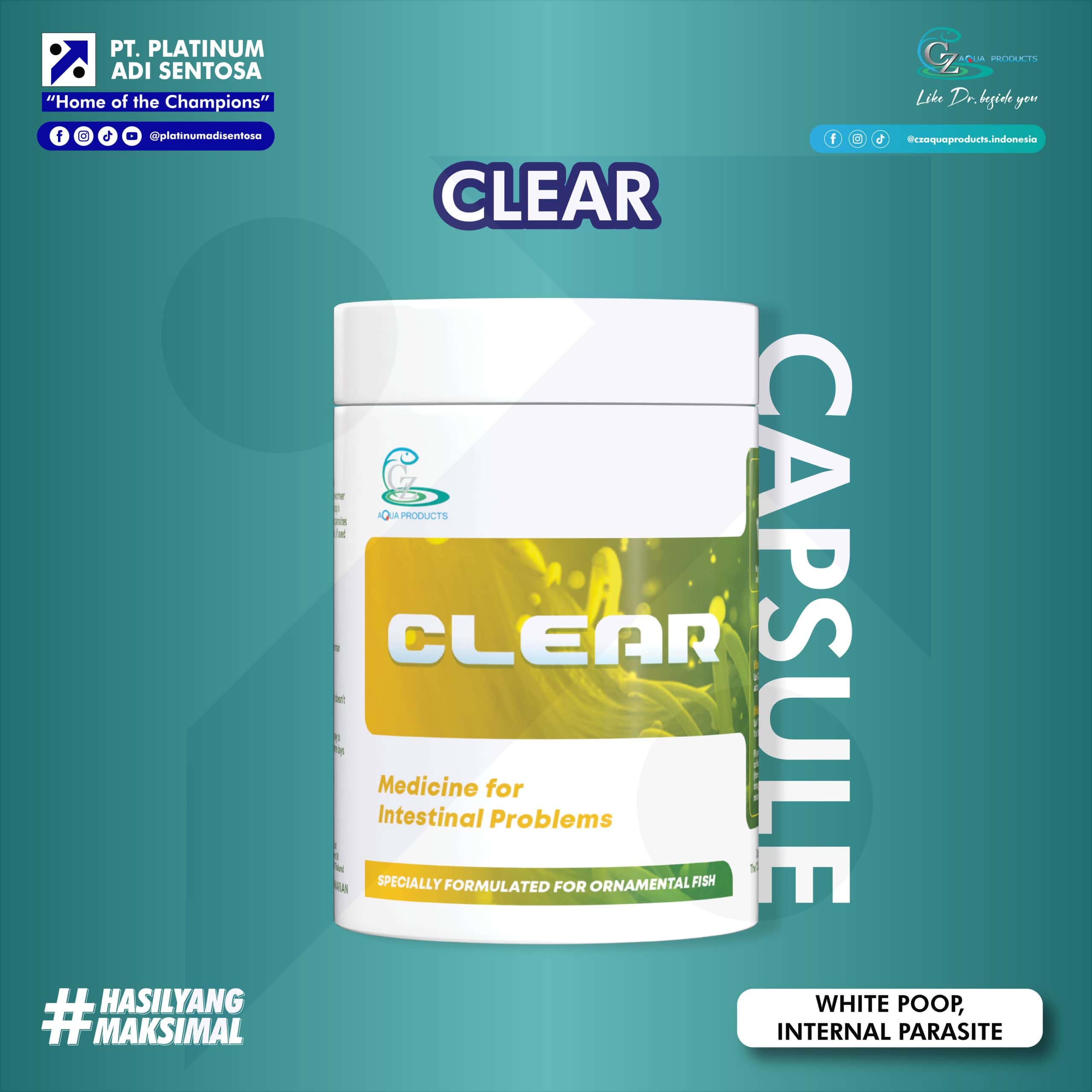 CLEAR