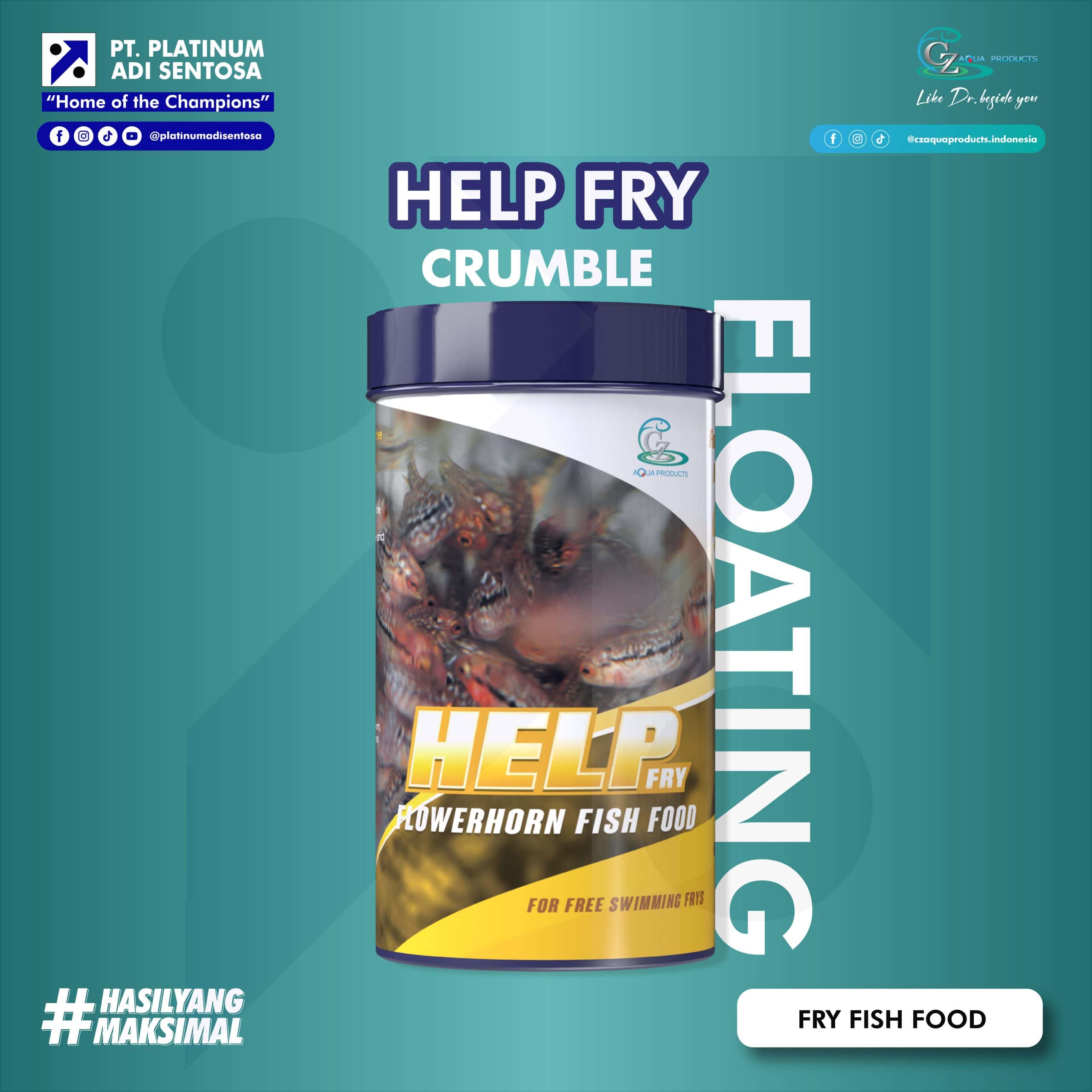 HELP FRY