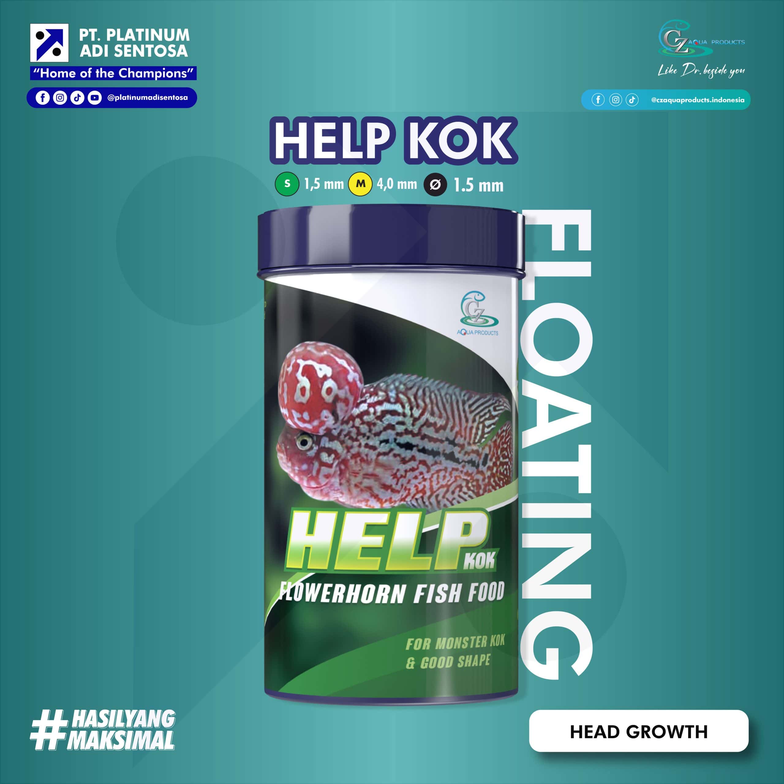 HELP KOK
