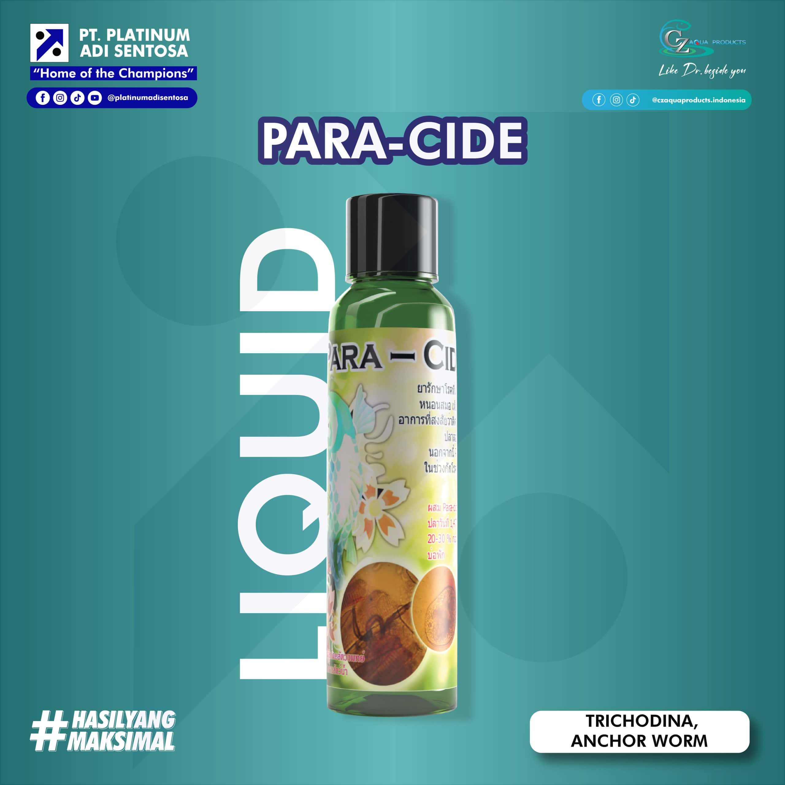 PARA-CIDE
