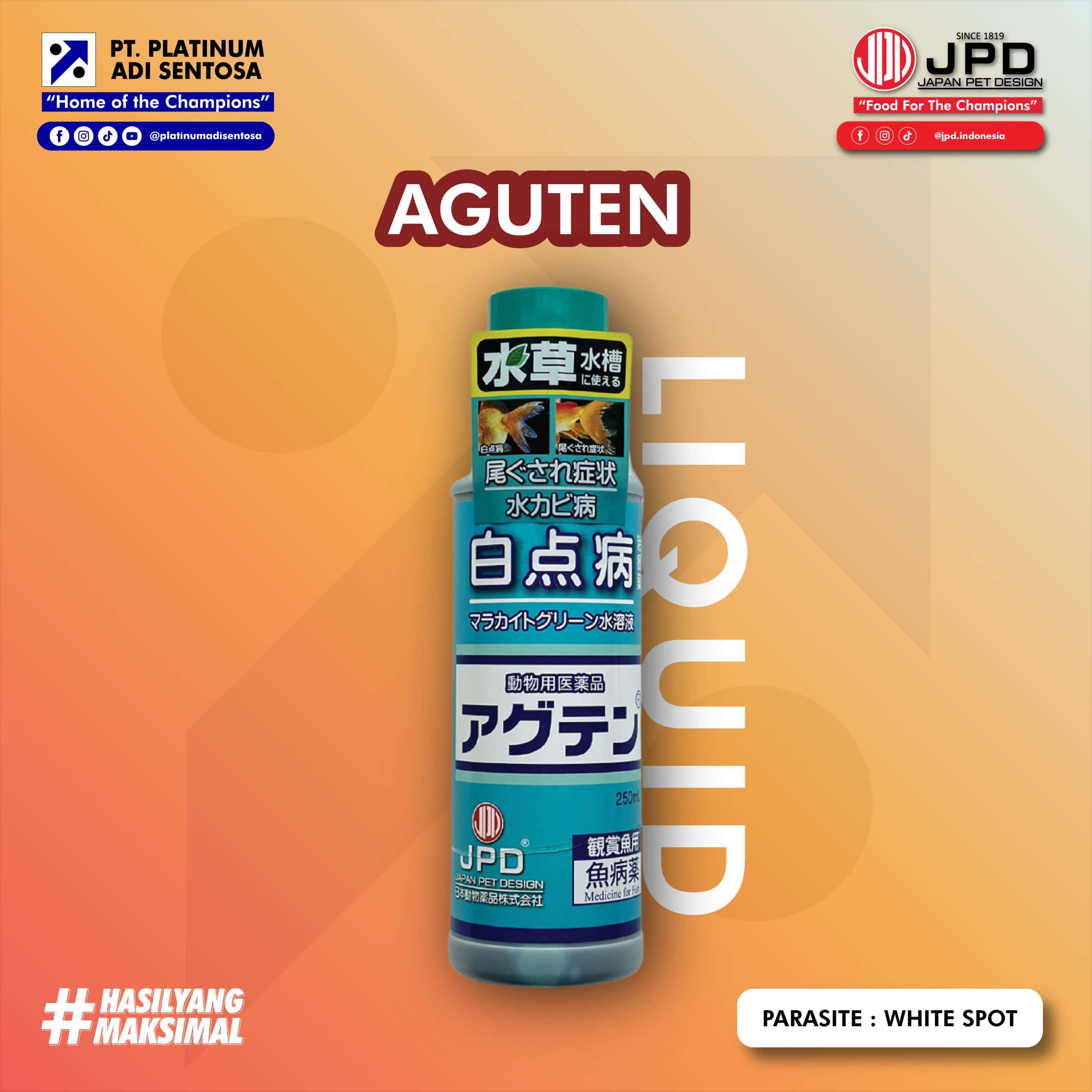 AGUTEN