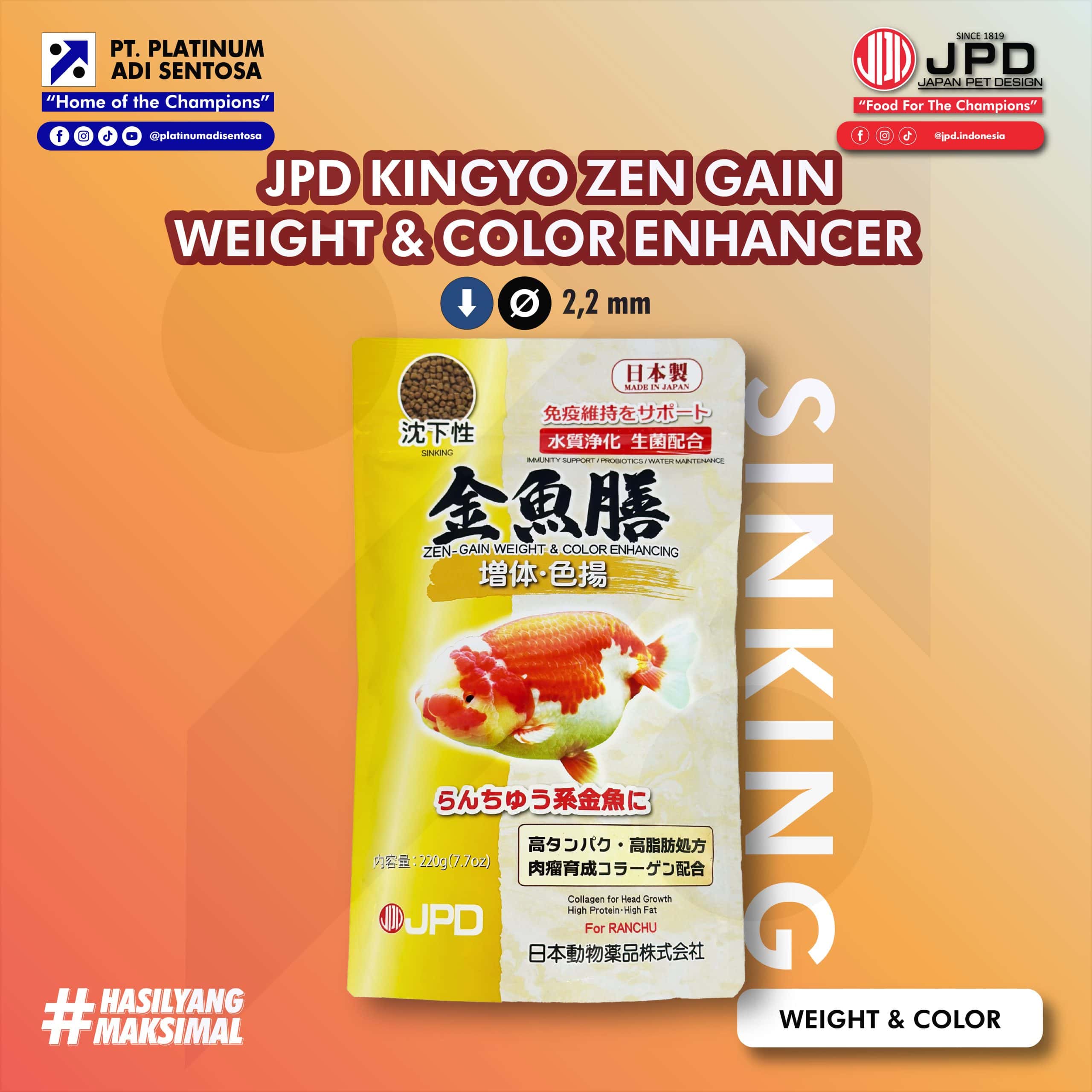 KINGYO ZEN GAIN WEIGHT AND COLOR ENHANCER