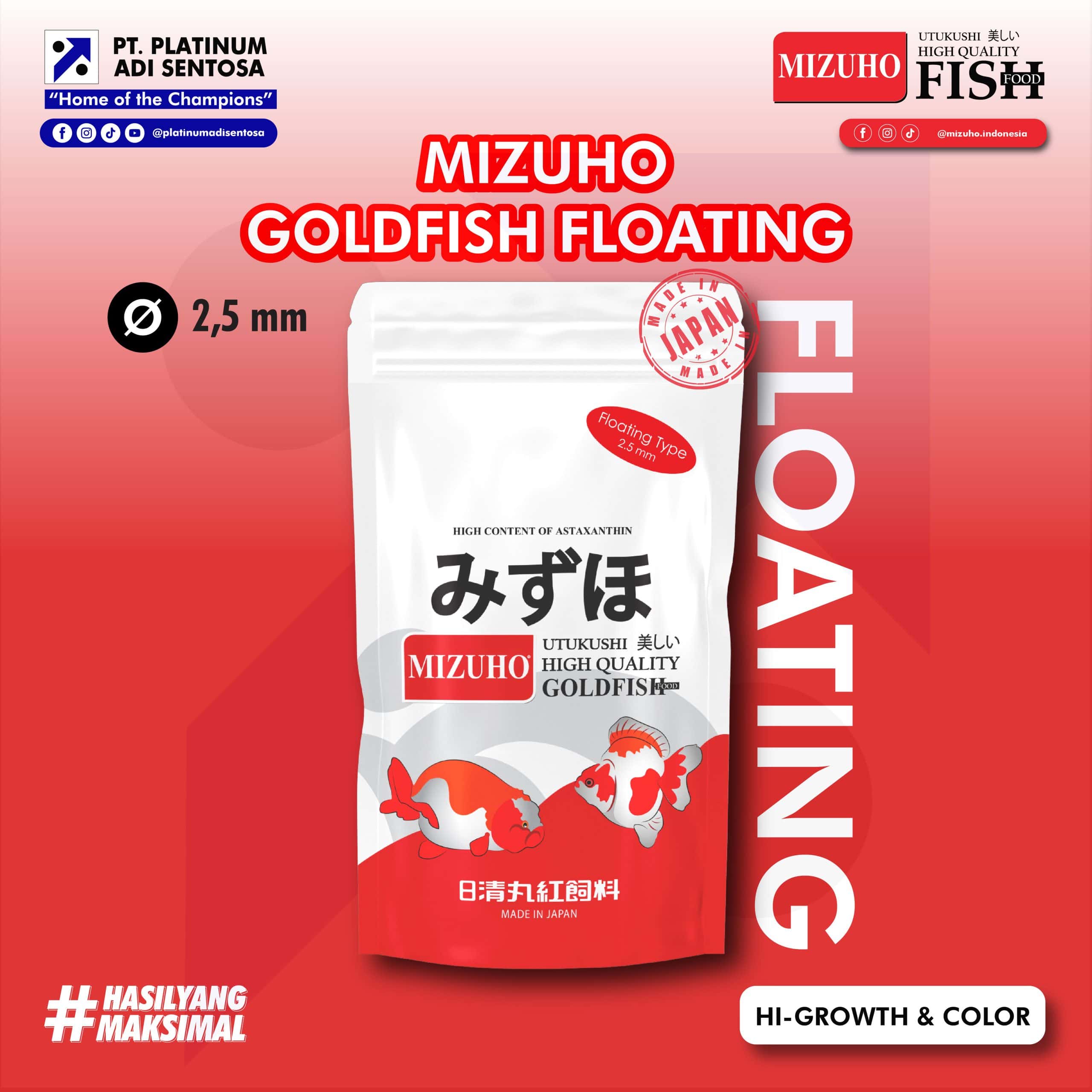 MIZUHO GOLDFISH FLOATING