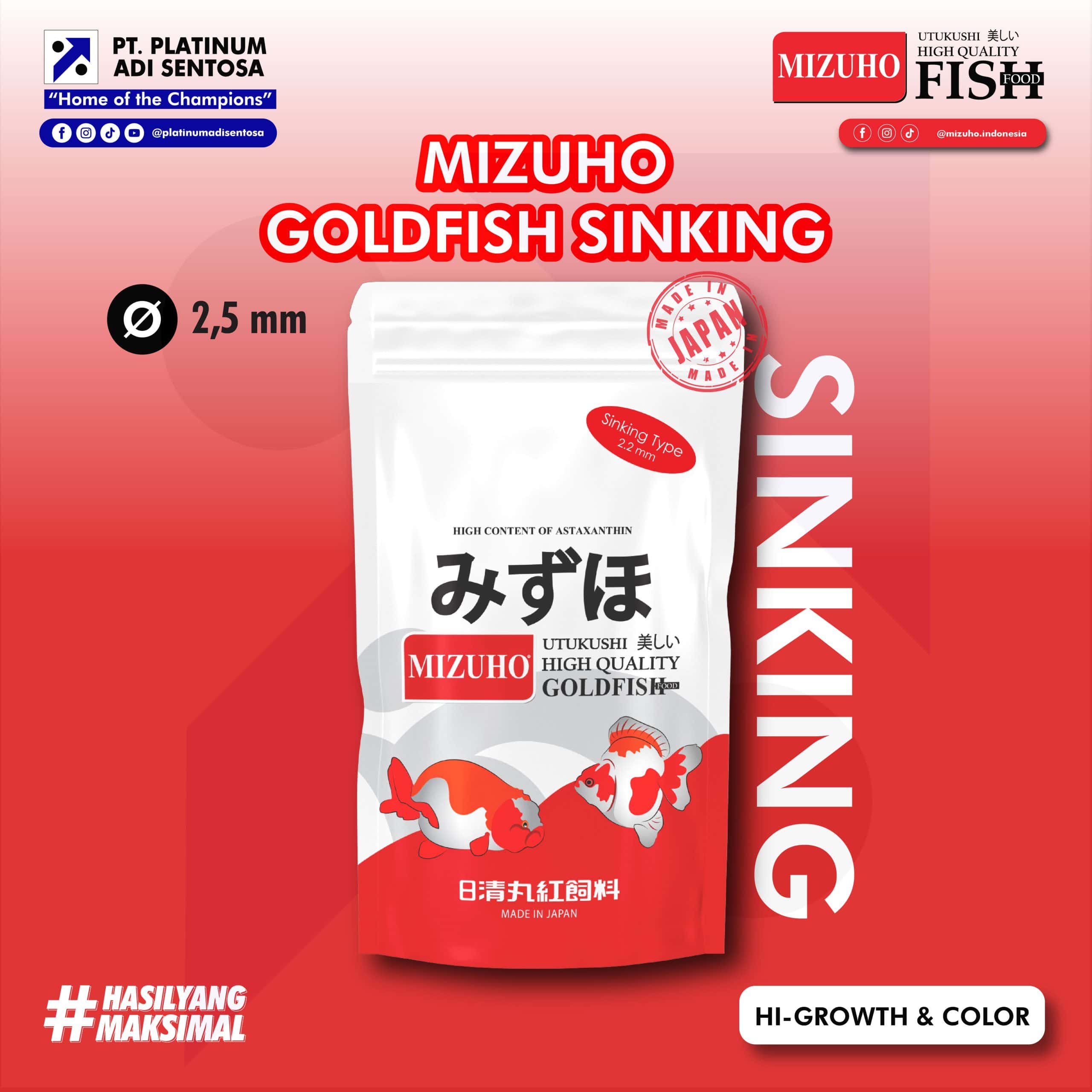 MIZUHO GOLDFISH SINKING