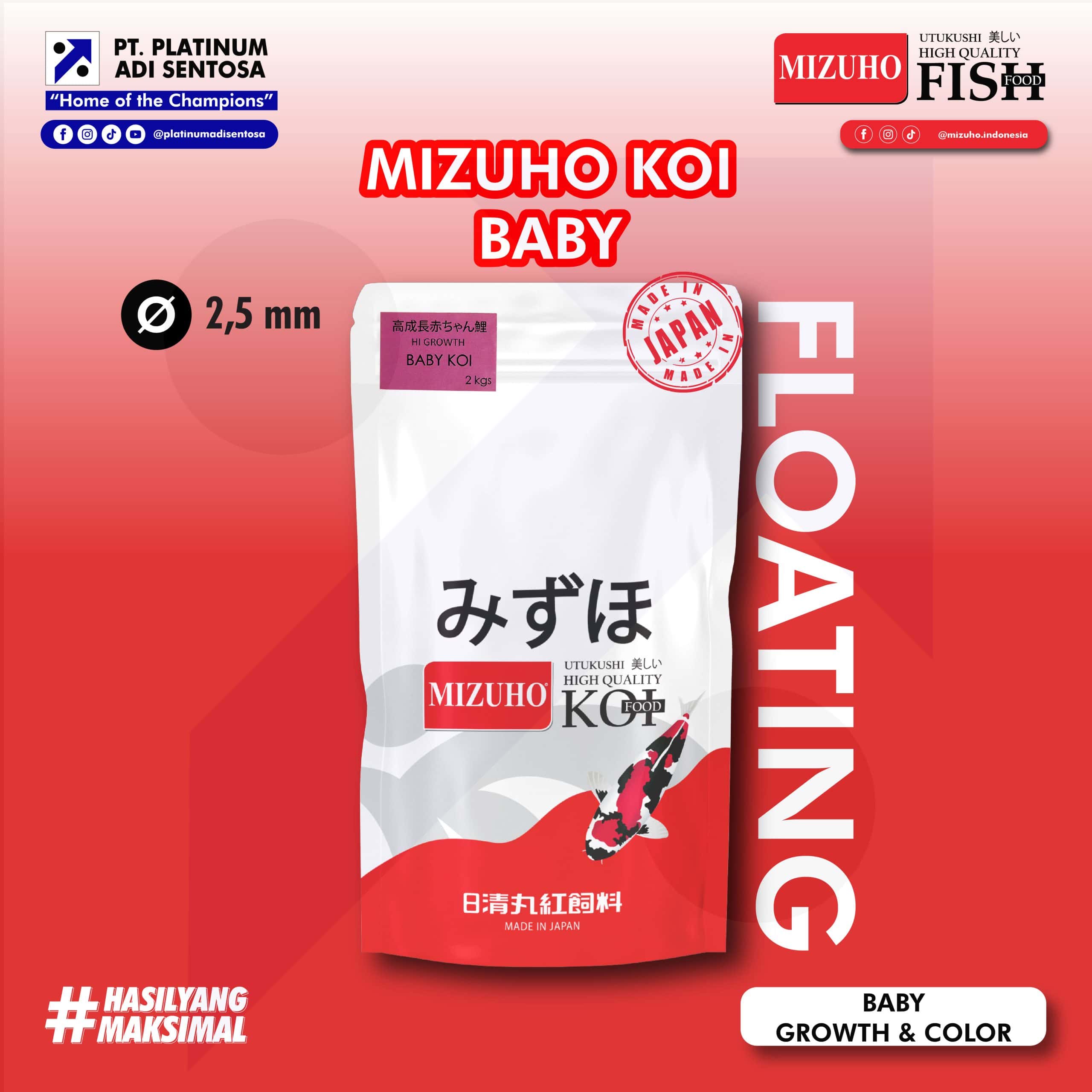 MIZUHO KOI HIGHGROWTH BABY