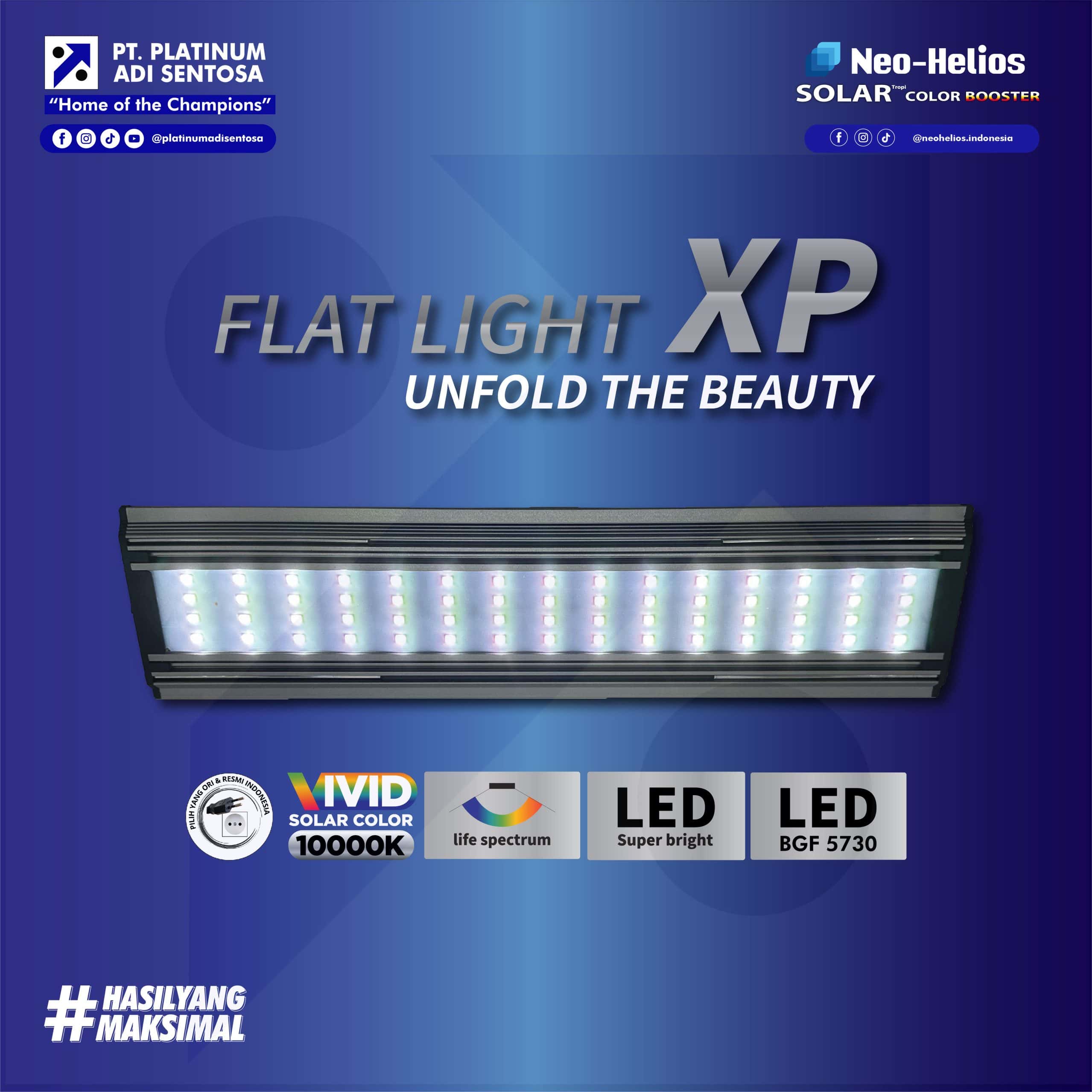 FLAT LIGHT XP
