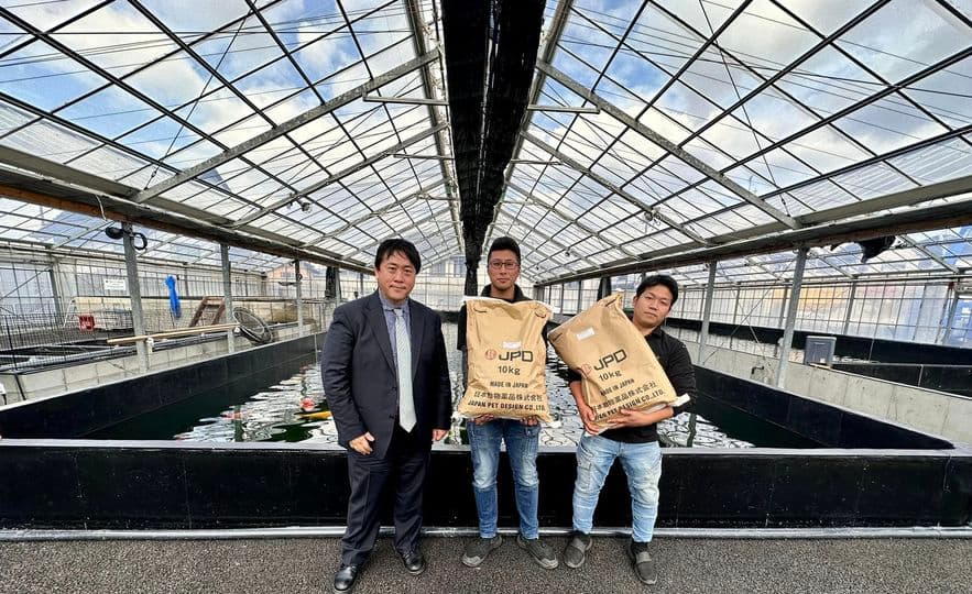 Cara Mudah Raih Cuan Dari Bisnis Koi Farm (Budidaya Ikan Koi)