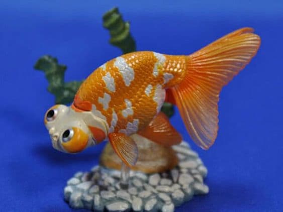 Jenis-Jenis Ikan Mas Koki (Goldfish)_Calestial