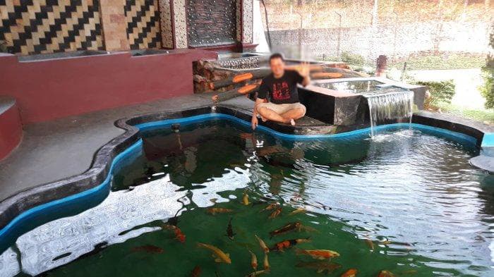 7 Hal Penting Yang Harus Diperhatikan Dalam Hobi Memelihara Ikan Koi