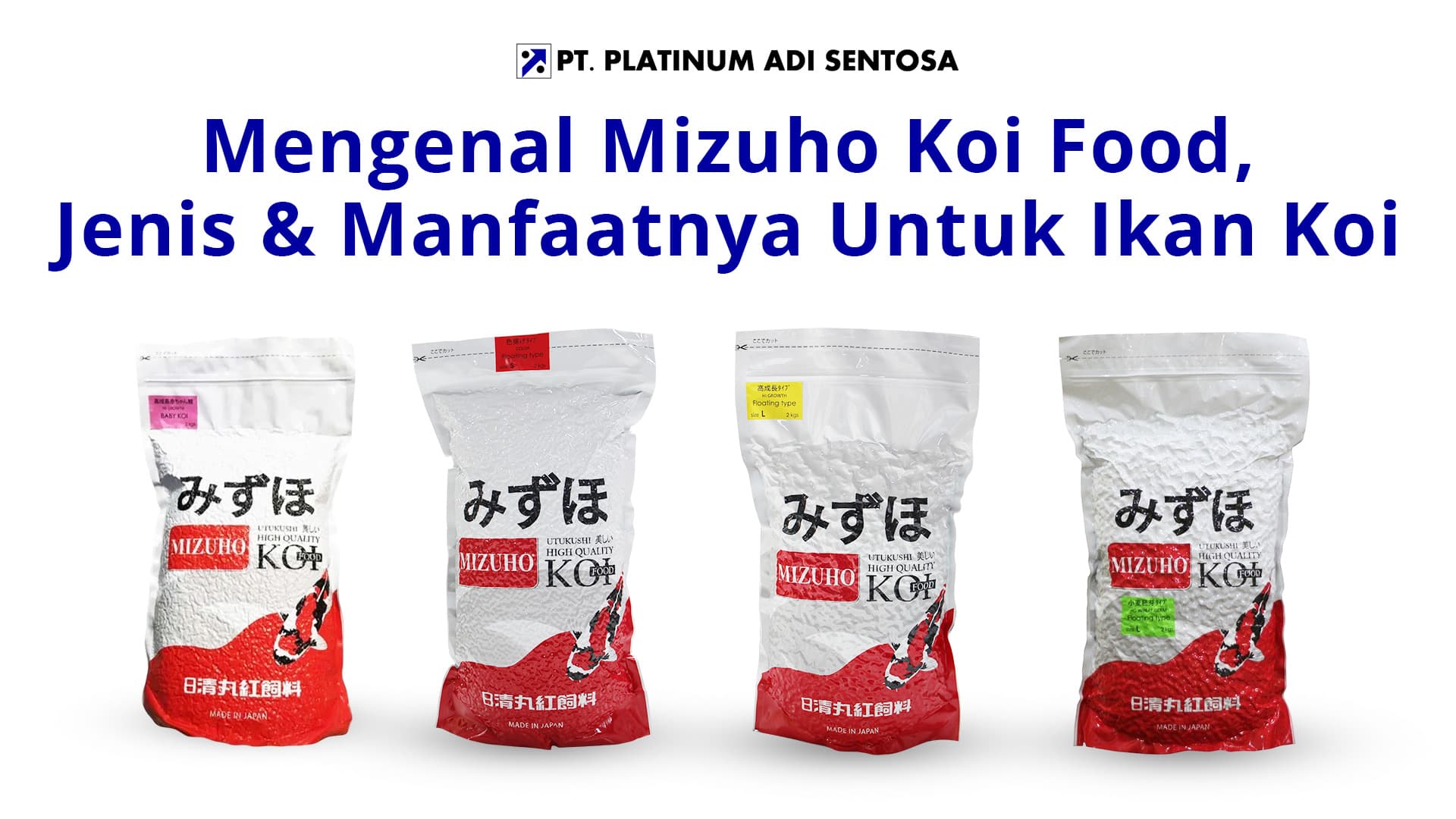 Mengenal Mizuho Koi Food, Jenis & Manfaatnya Untuk Ikan Koi