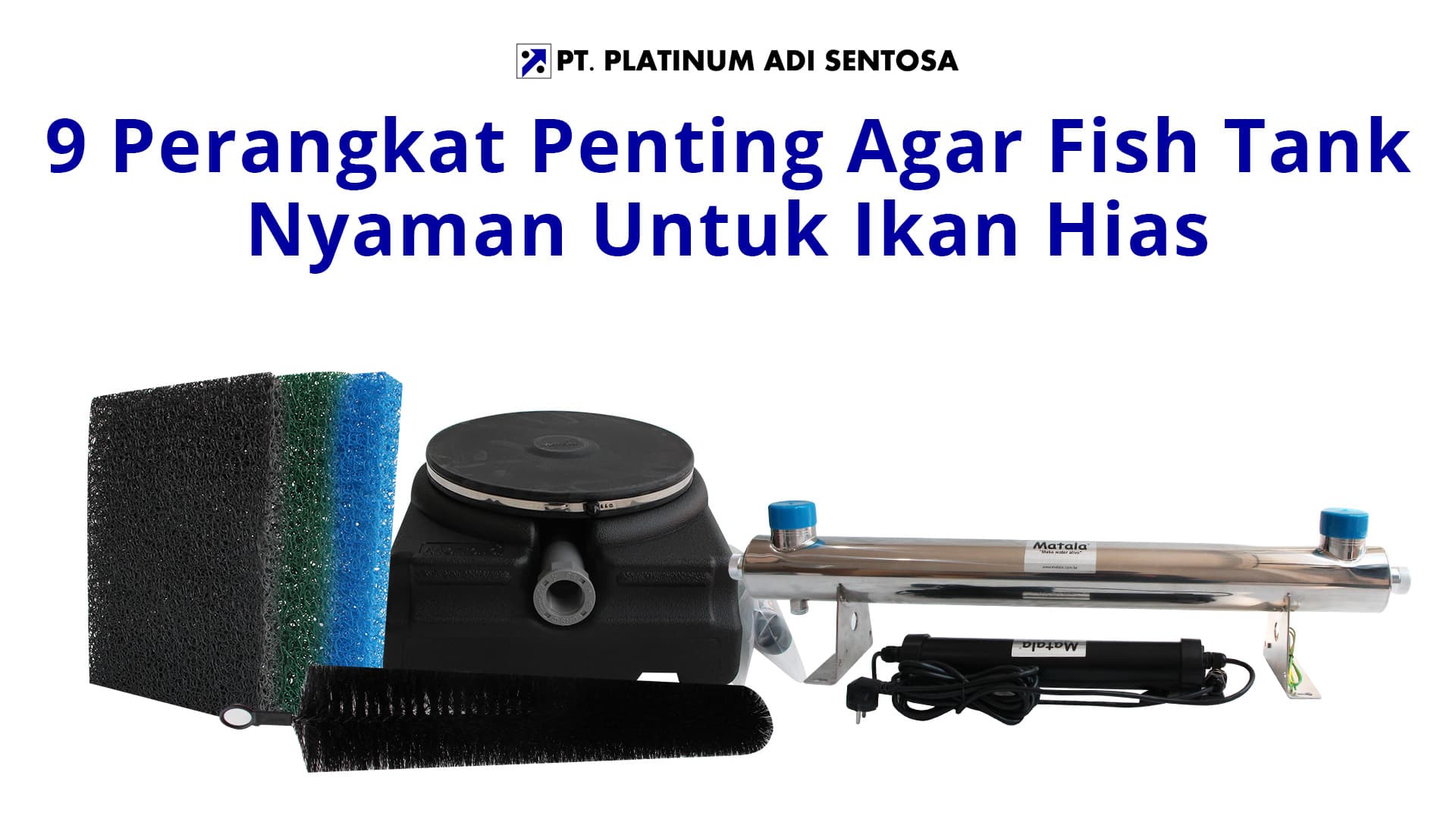 9 Perangkat Penting Agar Fish Tank Nyaman Untuk Ikan Hias