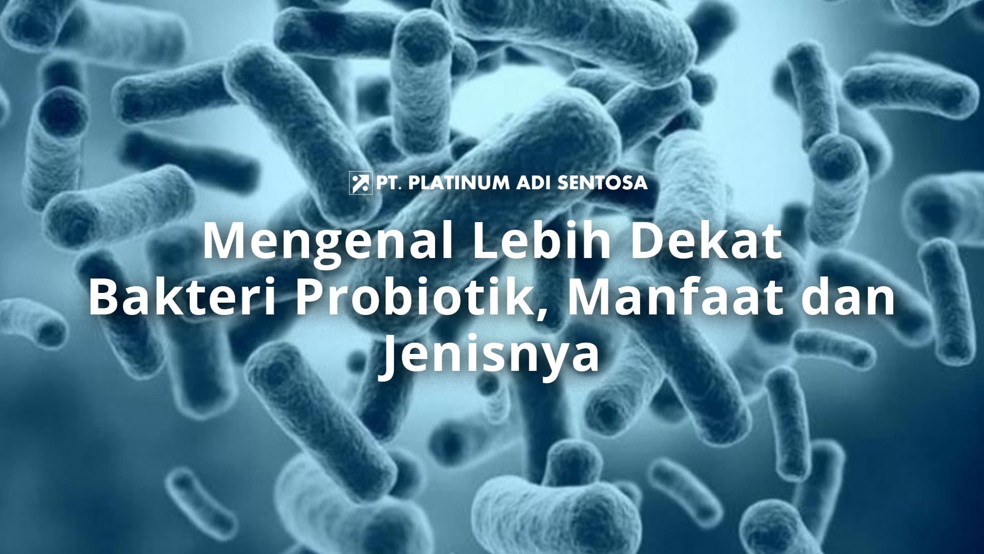 Mengenal Lebih Dekat Bakteri Probiotik, Manfaat dan Jenisnya