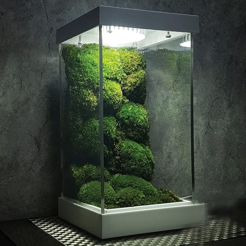 Mengenal Paludarium Beserta Jenis dan Komponen Ekosistemnya_Mossarium Paludarium