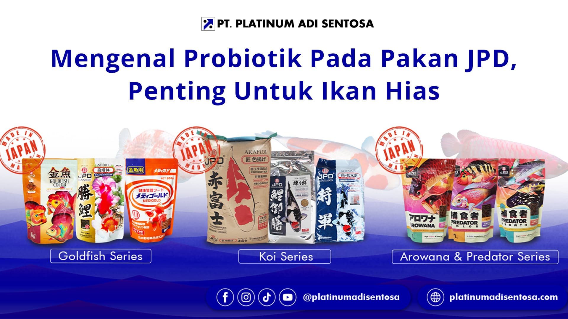 Mengenal Probiotik Pada Pakan JPD, Penting Untuk Ikan Hias