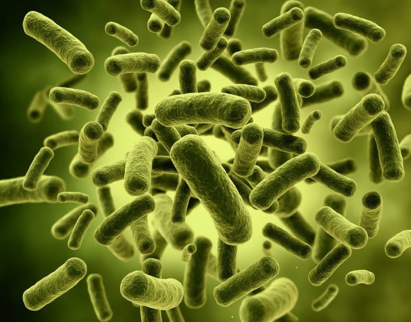 Mengenal Probiotik Untuk Ikan
