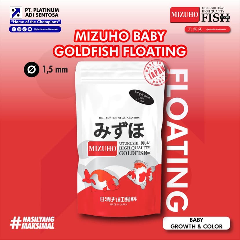 Mizuho Goldfish Floating_Cover Depan