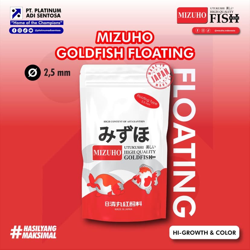 Mizuho Goldfish Floating_Cover Depan