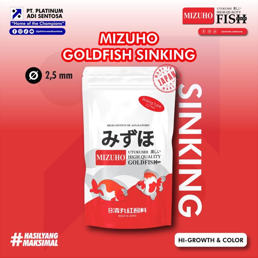 Mizuho Goldfish Sinking_Cover Depan