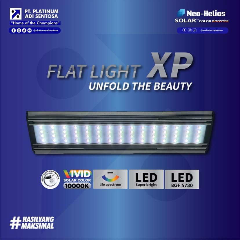Neo Helios_Flat Light XP_Cover Depan