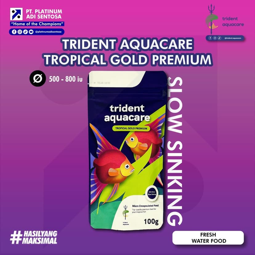 01 Trident Aquacare_Tropical Gold Premium_Cover Depan