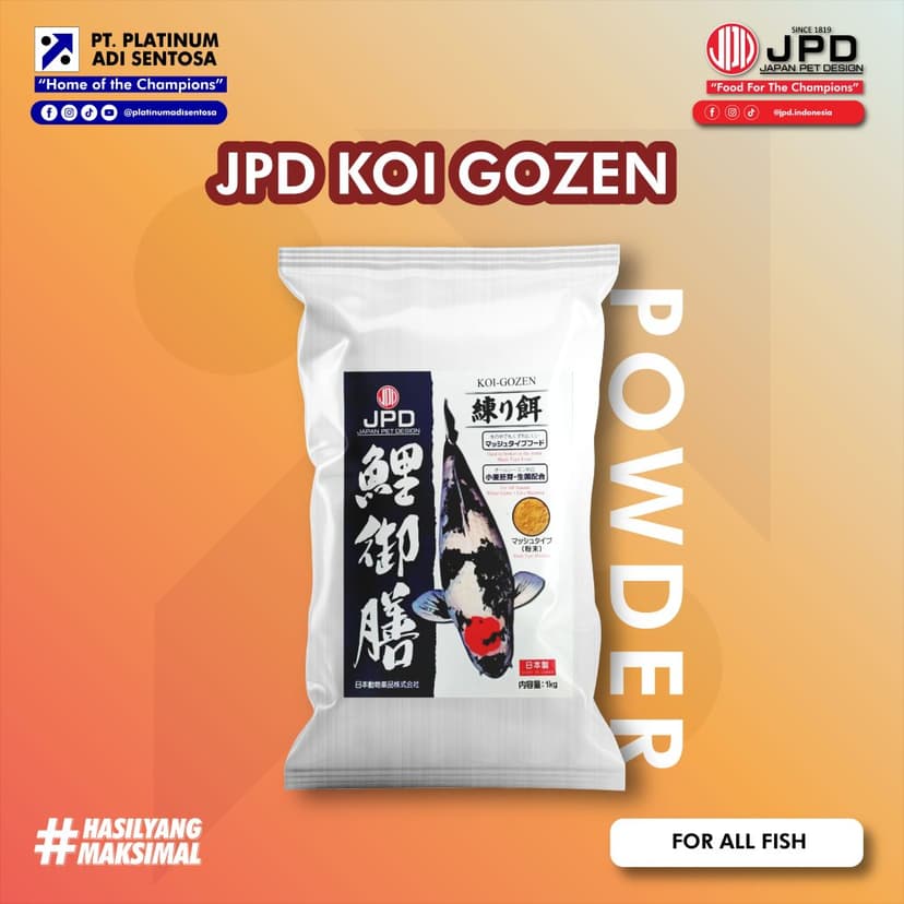 01_ JPD_Koi Gozen_Cover Depan