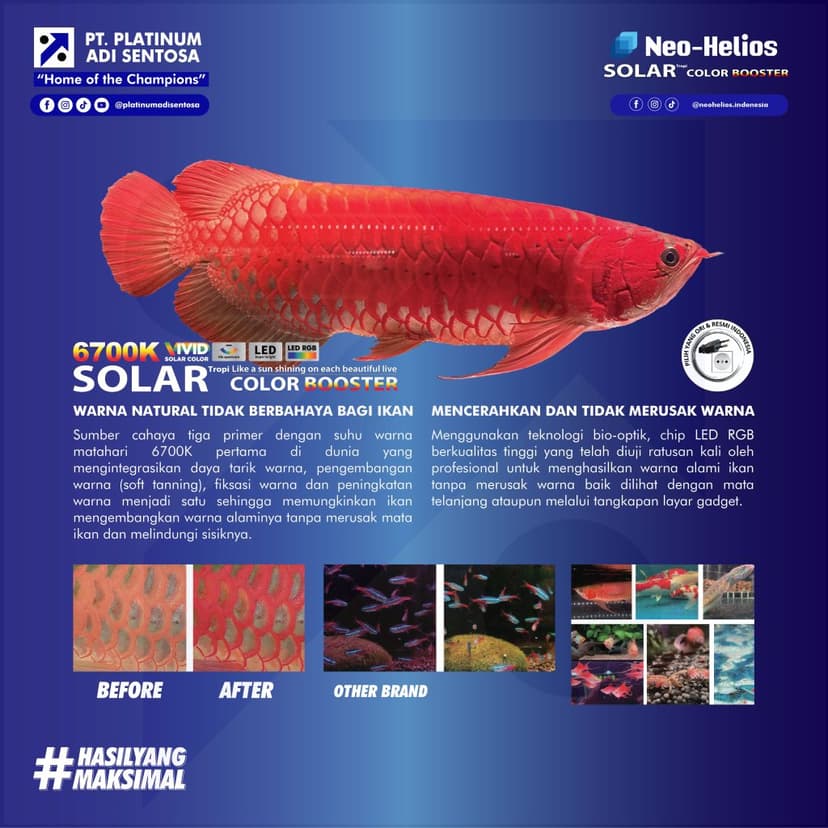 02 Neo Helios_Solar Color Booster_Deskripsi