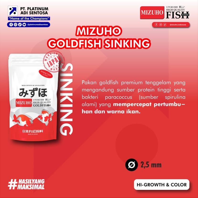 Mizuho Goldfish Sinking_Deskripsi