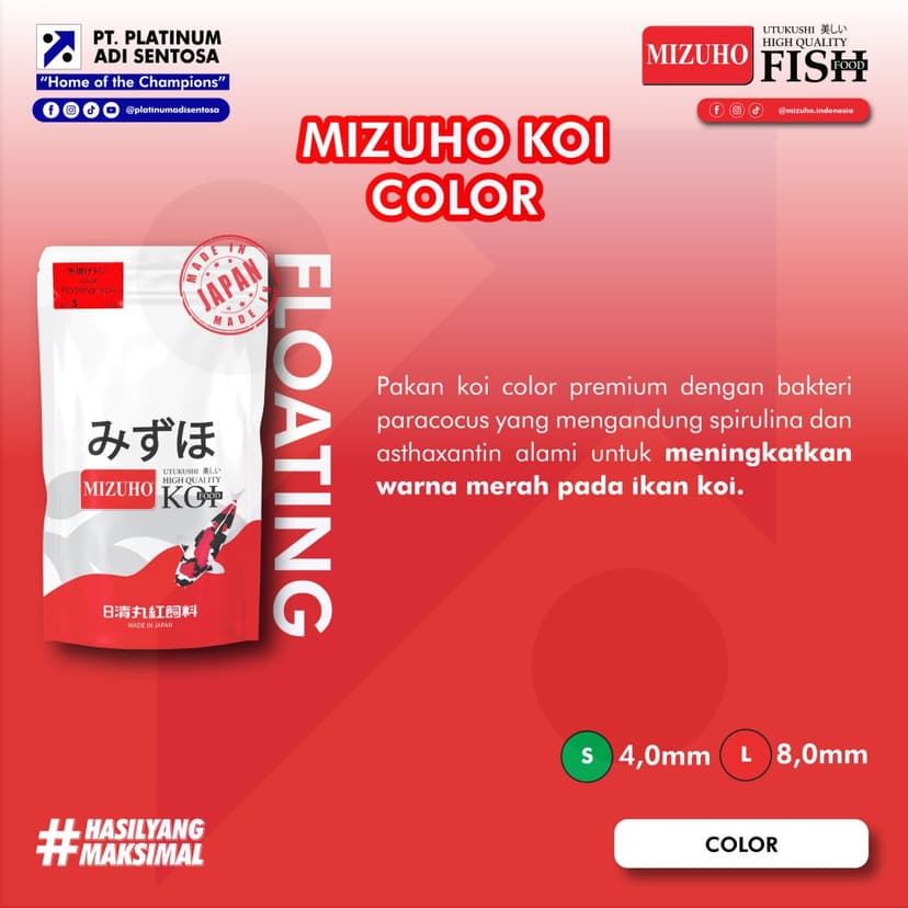 Mizuho Koi Color_Deskripsi