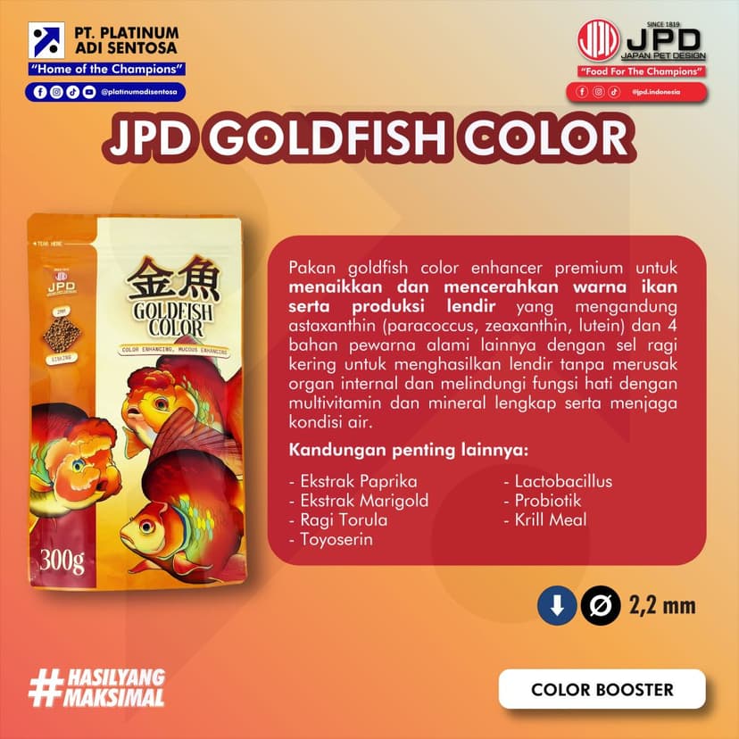 04_JPD_Goldfish Color_Deskripsi