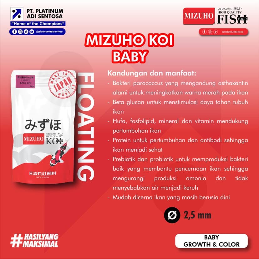 Mizuho Koi Baby_Deskripsi