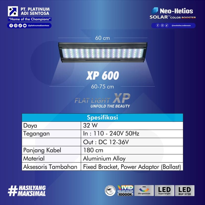 05 Neo Helios_Flat Light XP_Varian 3