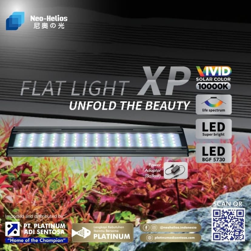 Flat Light XP_Cover