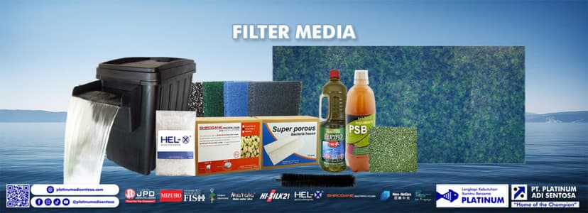 Filter Media