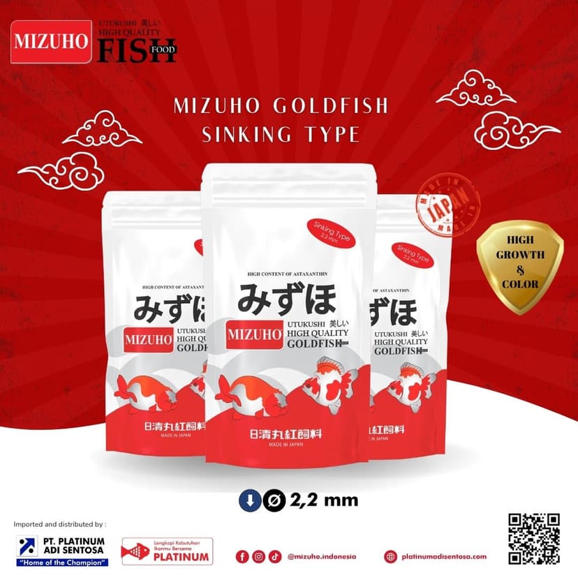 Mizuho Goldfish Sinking_Cover