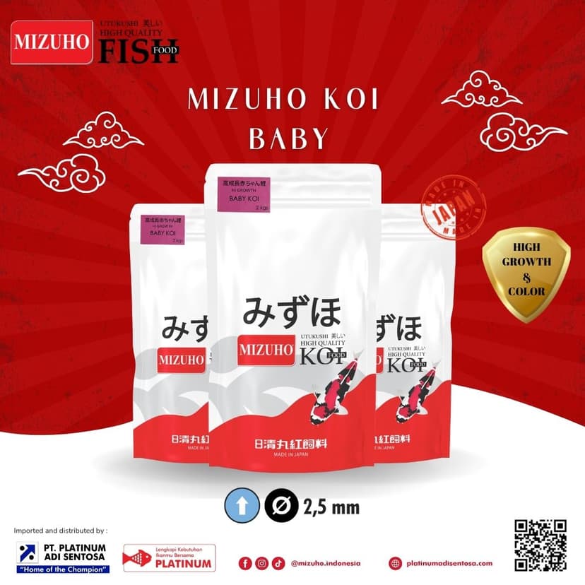 Mizuho Baby Koi_Cover