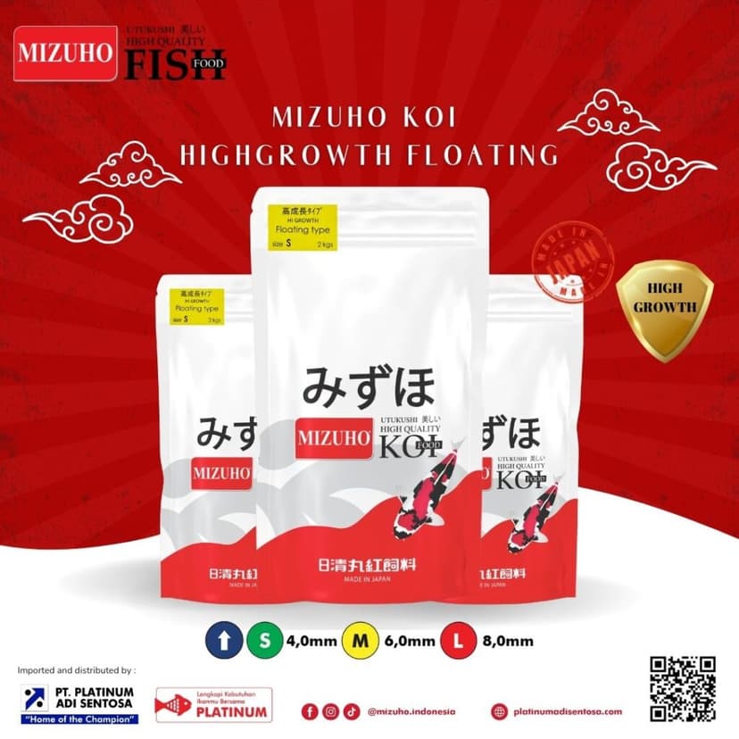 Mizuho Highgrowth Floating_Cover