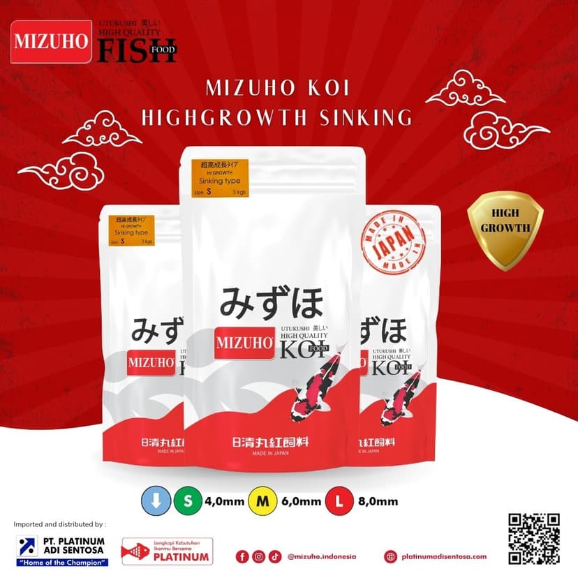 Mizuho Highgrowth Sinking_Cover