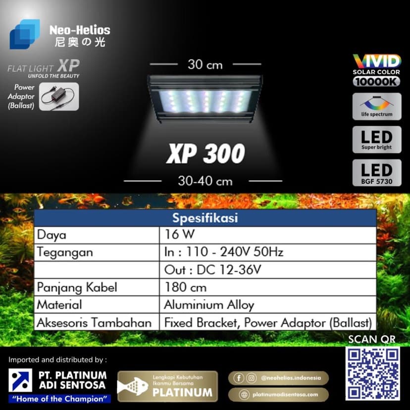Flat Light XP_Varian 1