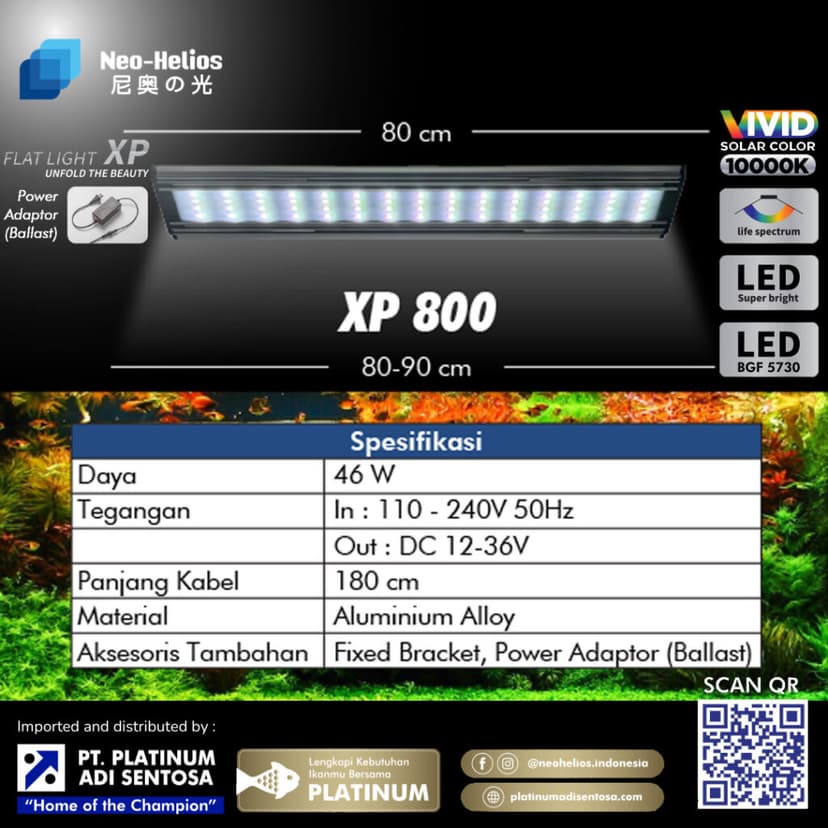 Flat Light XP_Varian 4