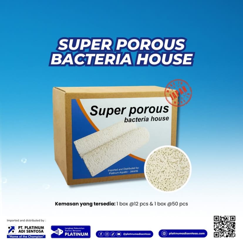 Super Porous Bacteria House_Cover