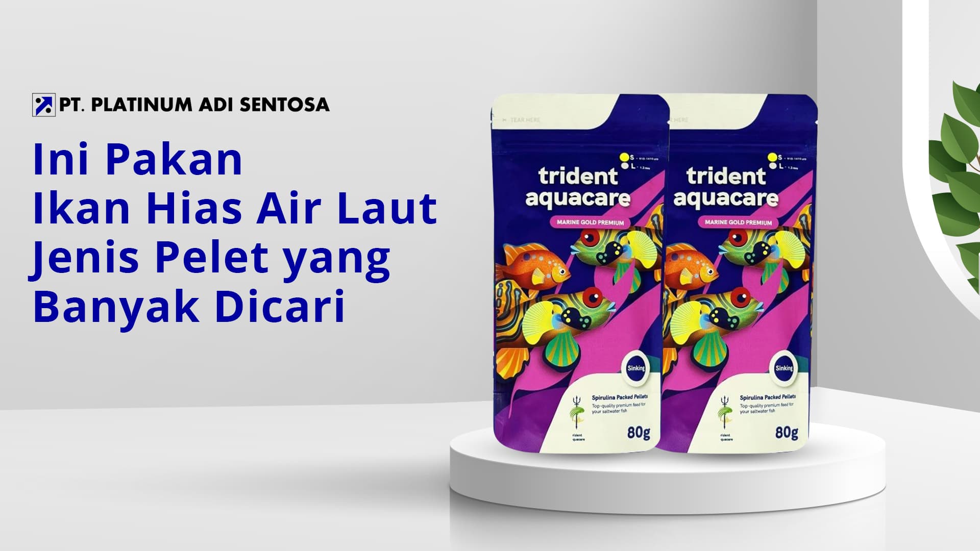Ini Pakan Ikan Hias Air Laut Jenis Pelet yang Banyak Dicari