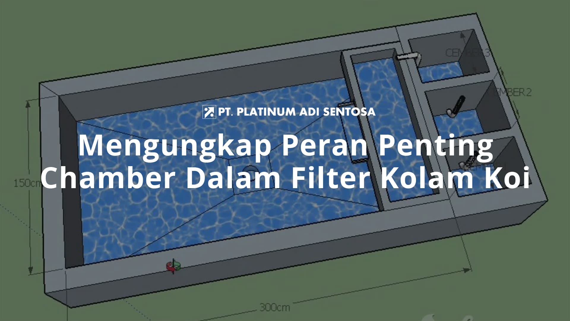 Mengungkap Peran Penting Chamber Dalam Filter Kolam Koi