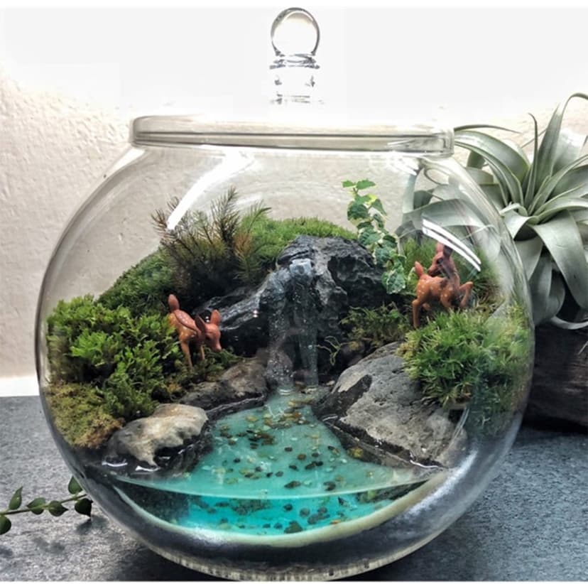 Terrarium