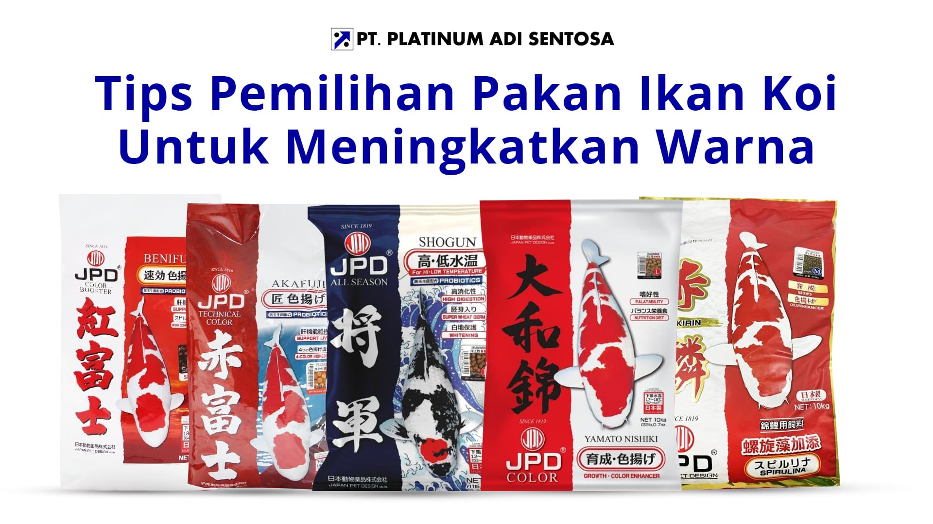 Tips Pemilihan Pakan Ikan Koi Untuk Meningkatkan Warna