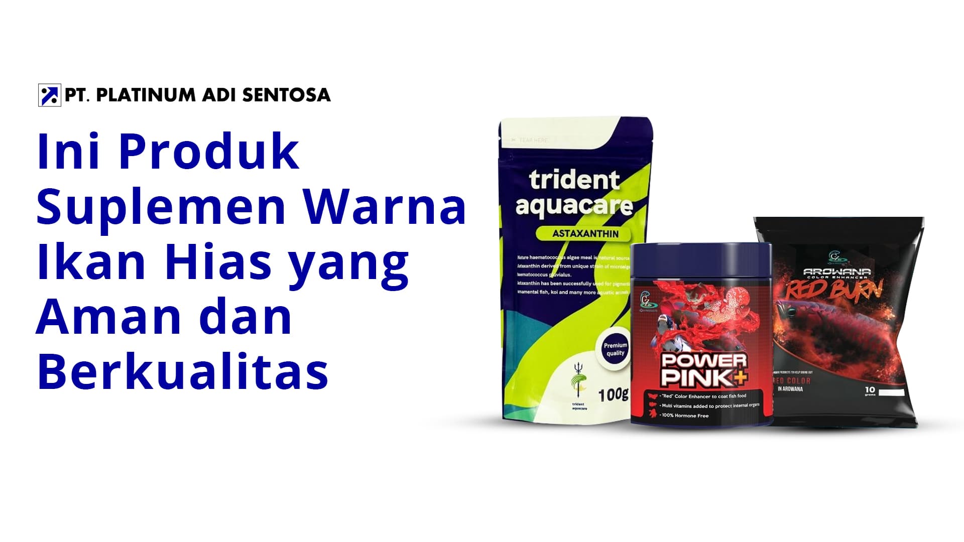 Ini Produk Suplemen Warna Ikan Hias yang Aman dan Berkualitas