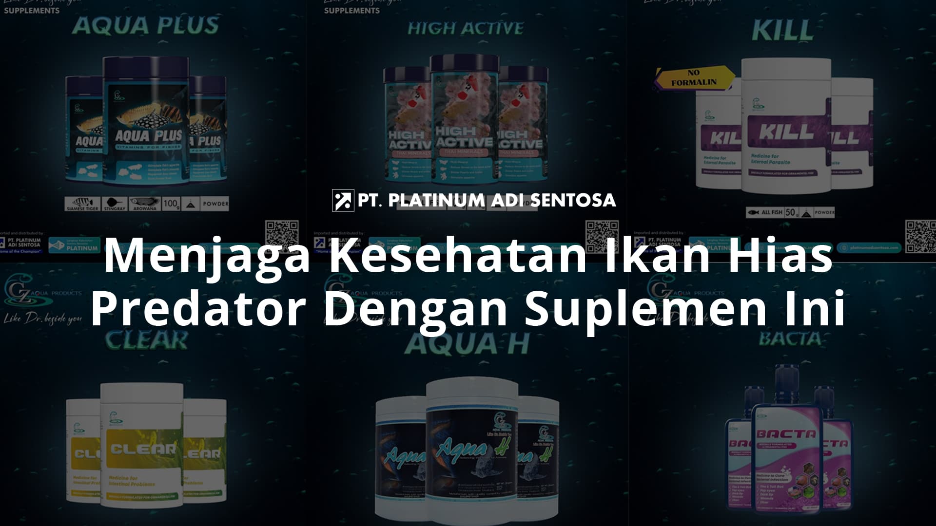 Menjaga Kesehatan Ikan Hias Predator Dengan Suplemen Ini