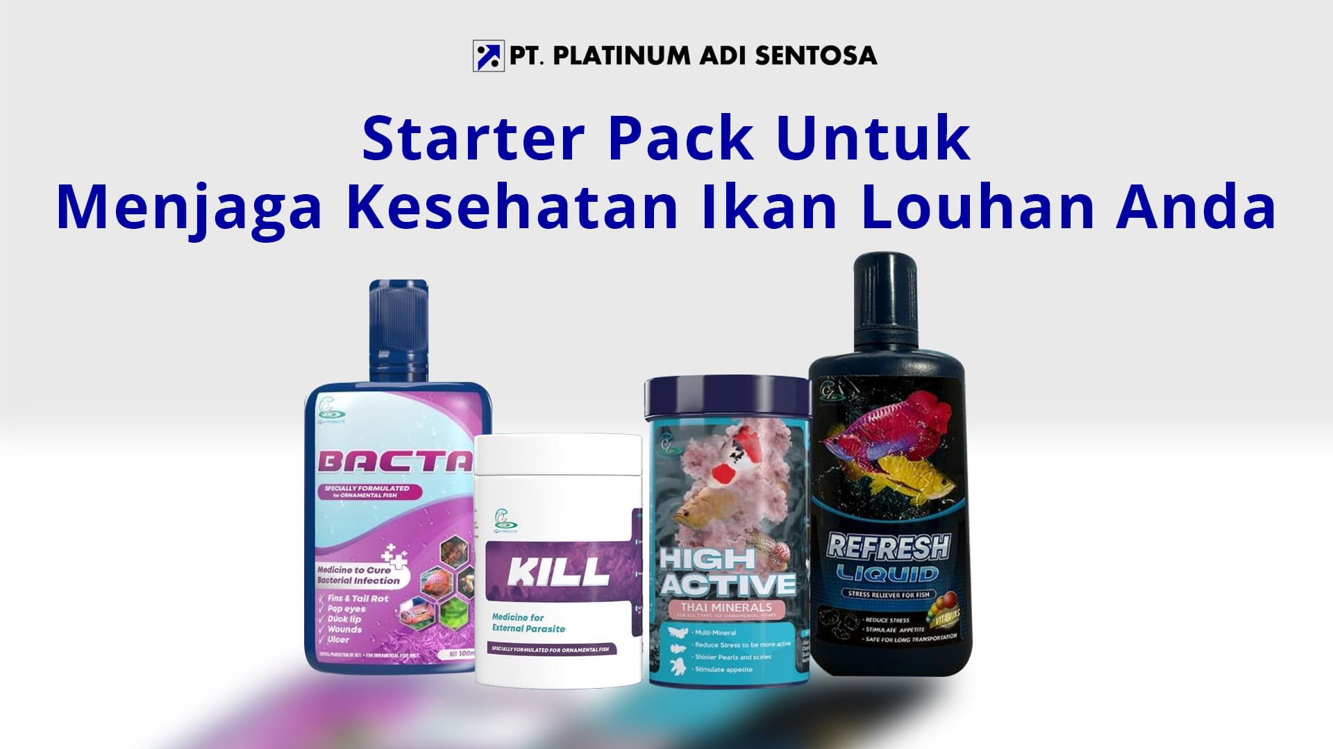 Starter Pack Untuk Menjaga Kesehatan Ikan Louhan Anda