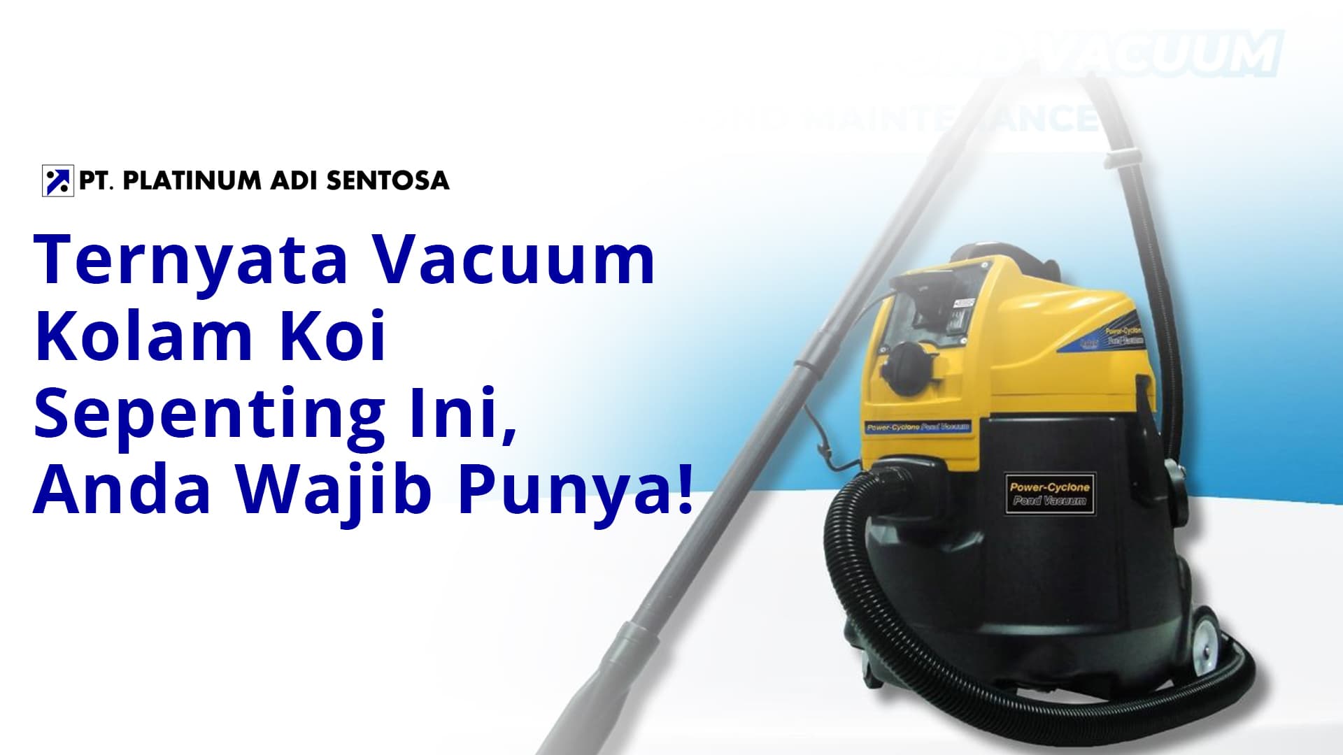 Ternyata Vacuum Kolam Koi Sepenting Ini, Anda Wajib Punya!