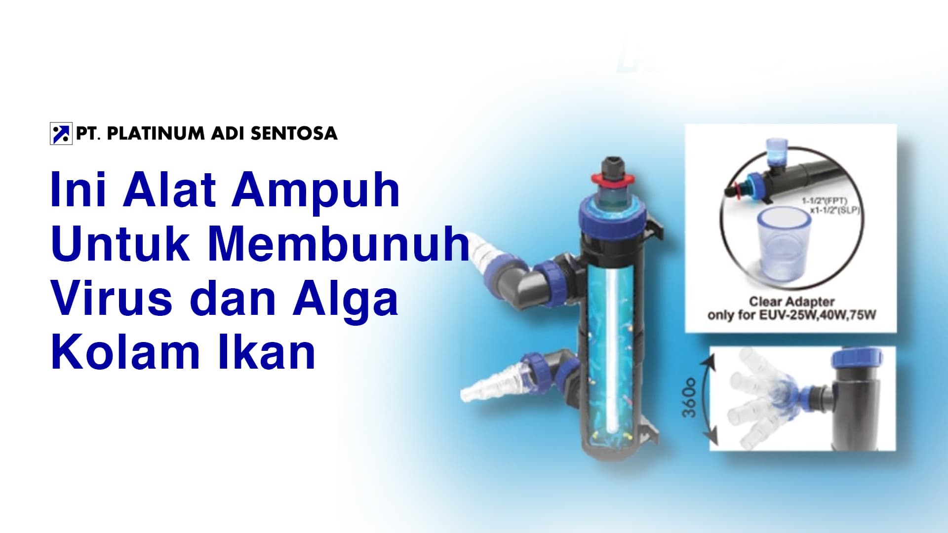 Ini Alat Ampuh Untuk Membunuh Virus dan Alga Kolam Ikan
