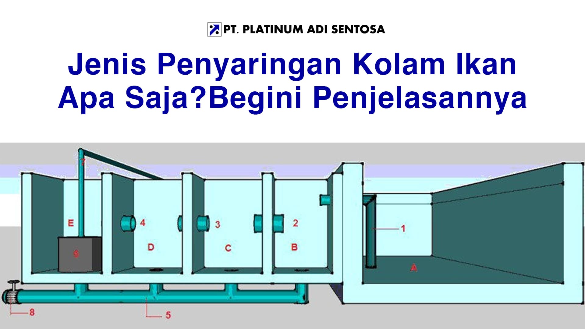 Jenis Penyaringan Kolam Ikan Apa Saja? Begini Penjelasannya